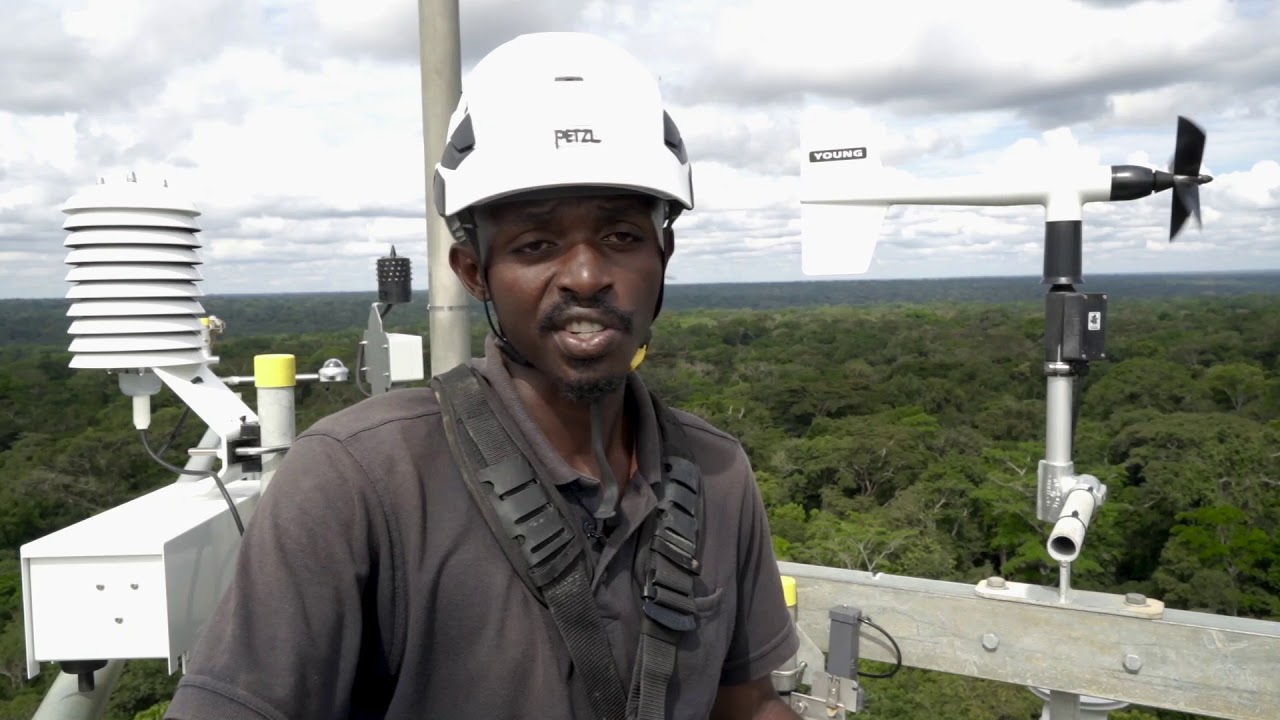 Congoflux : Une nouvelle installation à Yangambi pour étudier les forêts du bassin du Congo