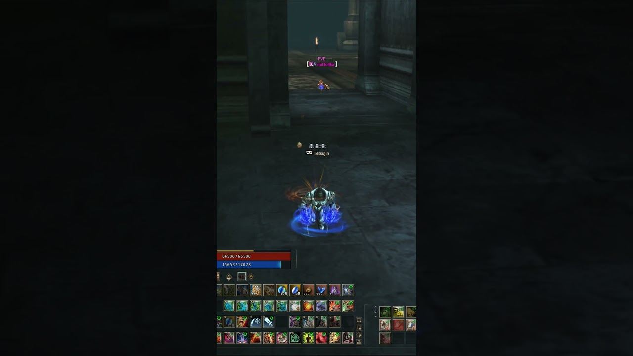 L2 Essence Reborn Aden x1 #lineage2 #games #shorts