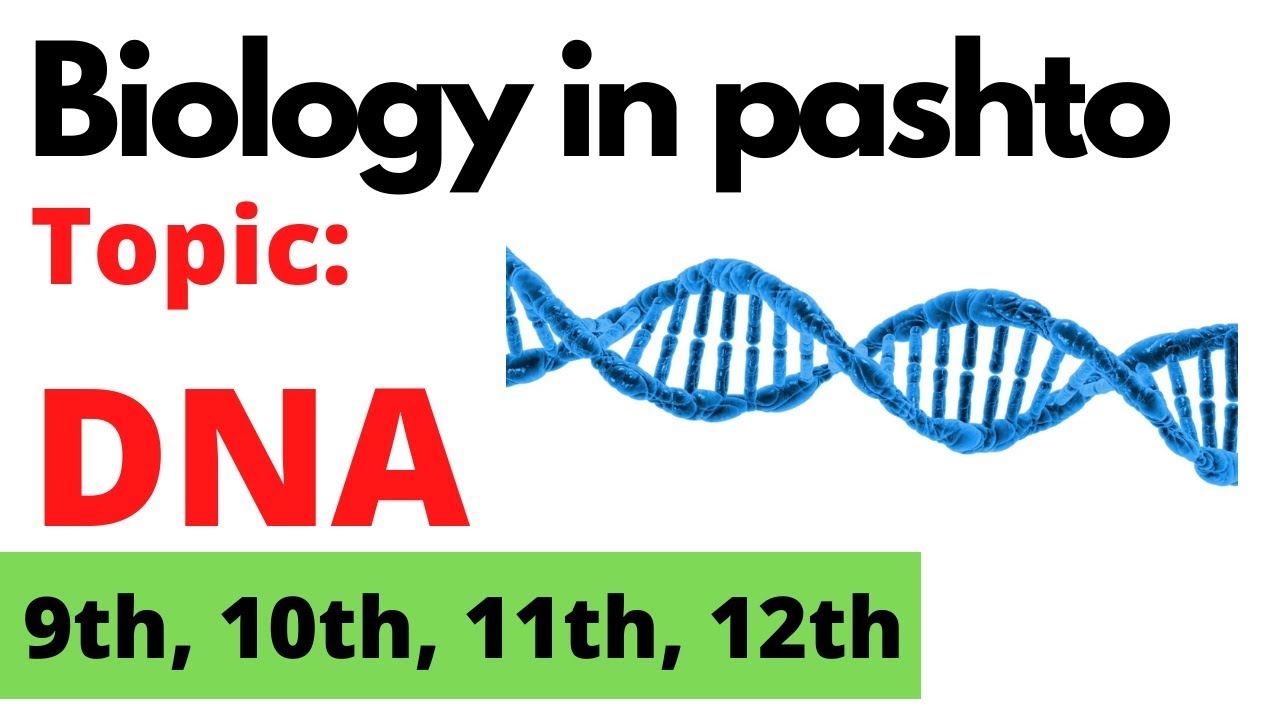 DNA | Deoxyribonucleic acid | DNA in pashto | Home of biology