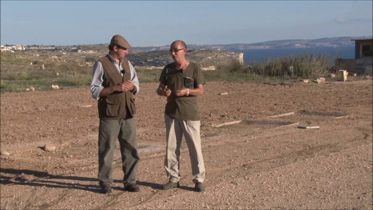 The Traditional Socio-Cultural Passion of Maltese Trappers-Finches Live-Capturing