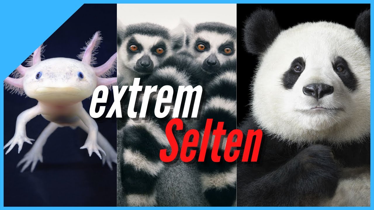 Ausgestorben??? Die 10 extrem seltensten Tiere der Erde