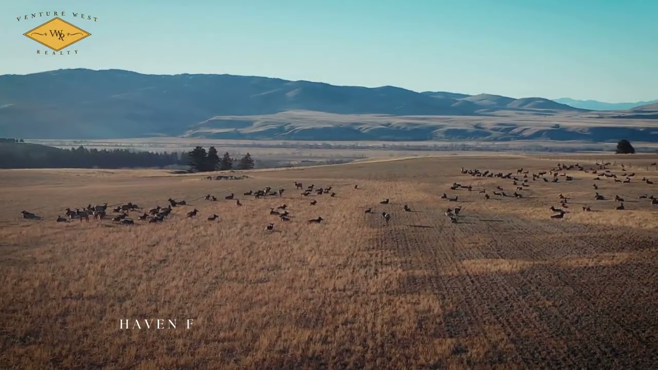 7 Ranges Acreage w/Elk ~ Spectacular Bozeman Area Lot