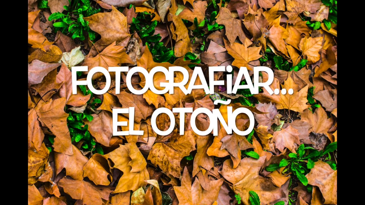 Fotografiar el Otoño