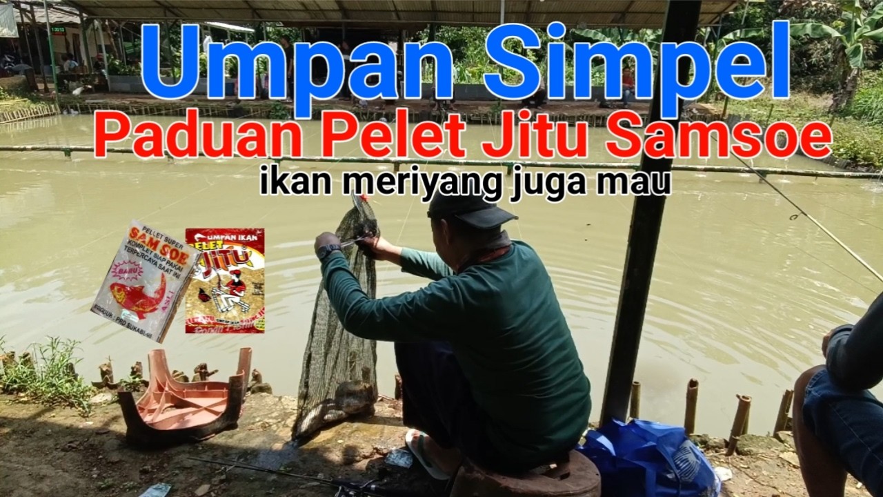 umpan simpel bahan dasar pelet||@biasamancing2787