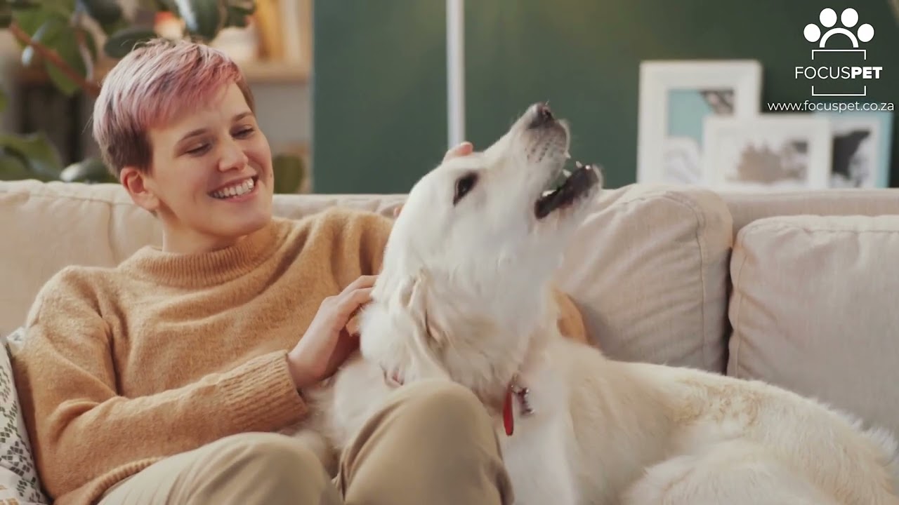 FocusPet Humane Anti-Barking Training Collar