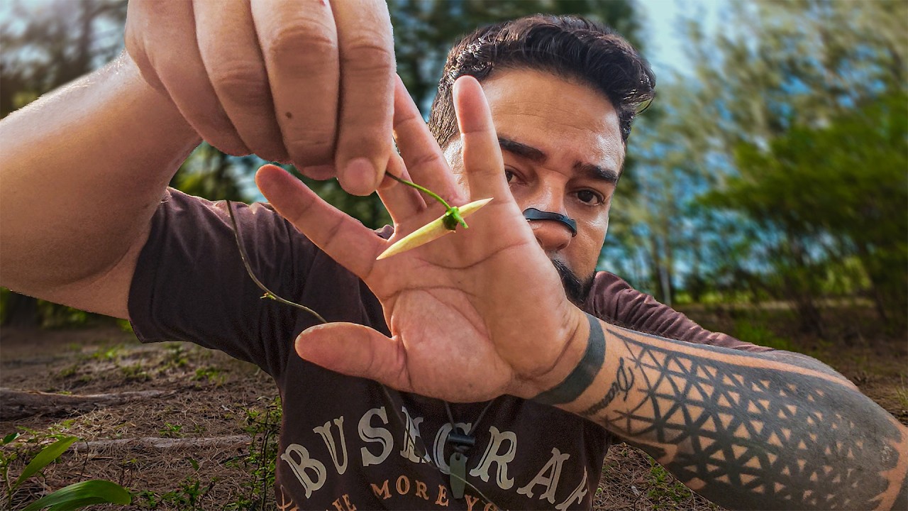 Pesca Primitiva,  Caça de iguana e lagartos