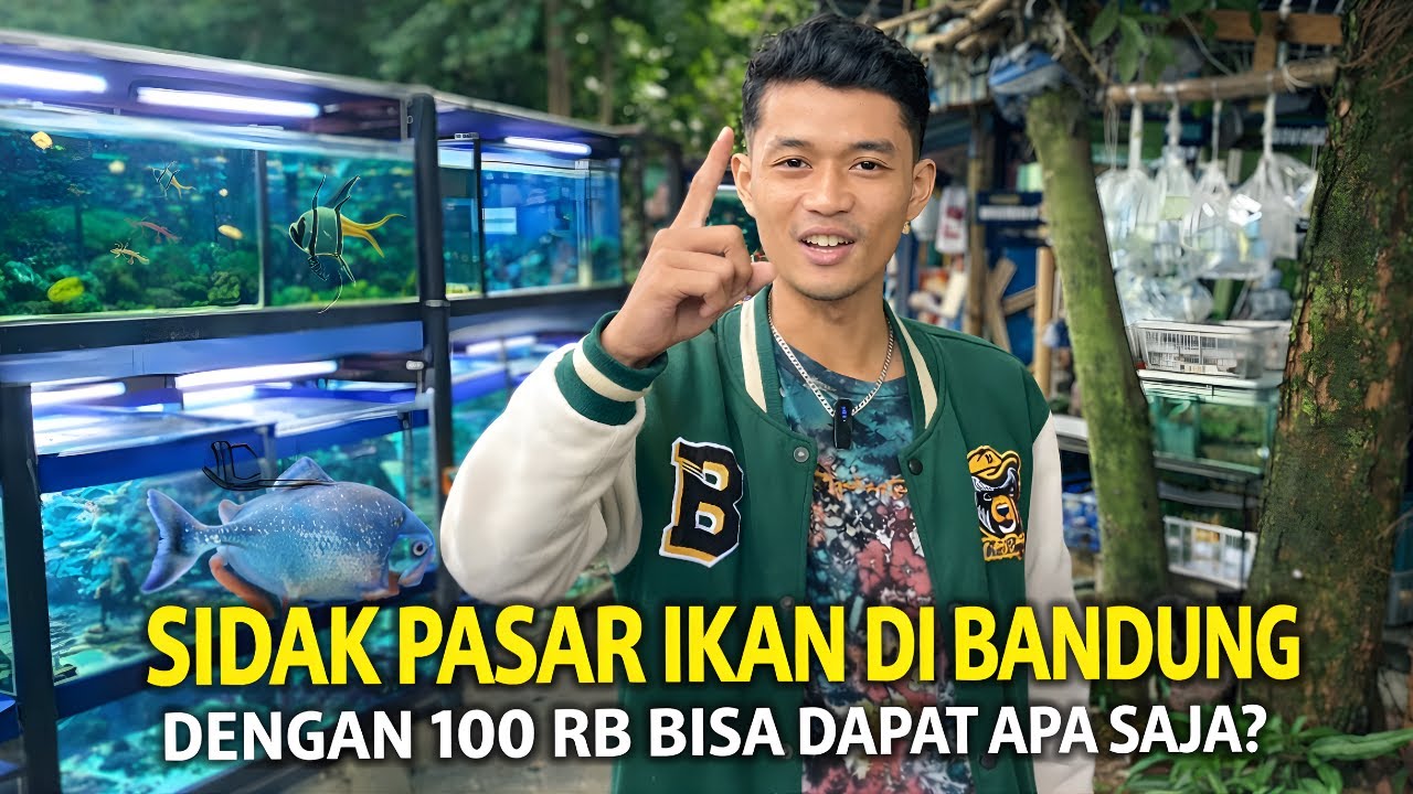 Pasar Ikan Terbesar Di bandung || Vlog Hunting Peliharaan
