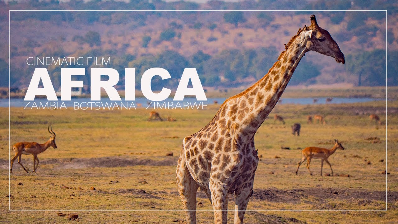 AFRICA-Cinematic Film Zambia, Zimbabwe, Botswana【LUMIX G9PRO】