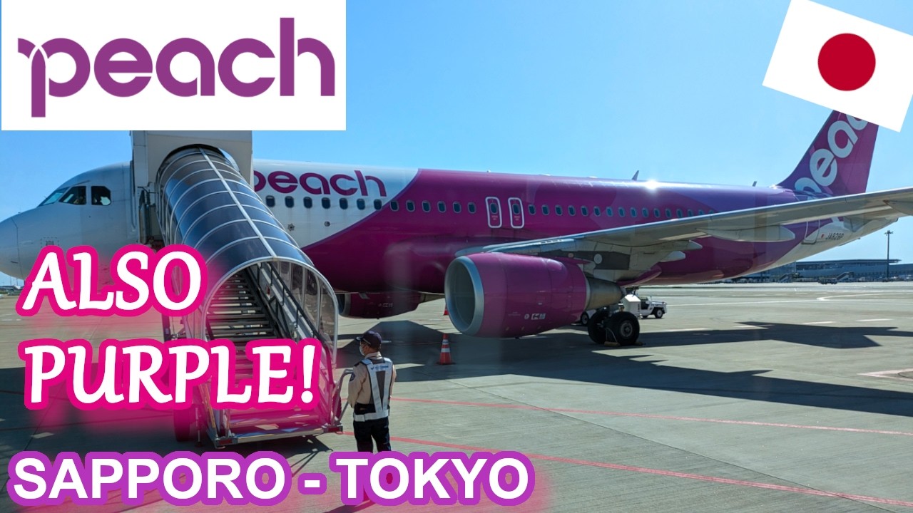 PEACH AIRLINES FLIGHT REVIEW! | Sapporo - Tokyo | A320-200