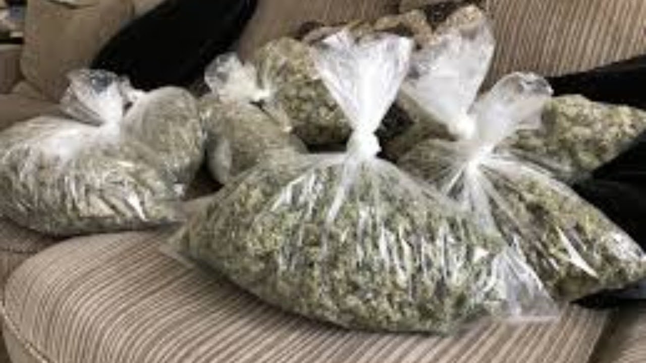 420 ALL MONTH LONG! DAY 2 COCOA CONE