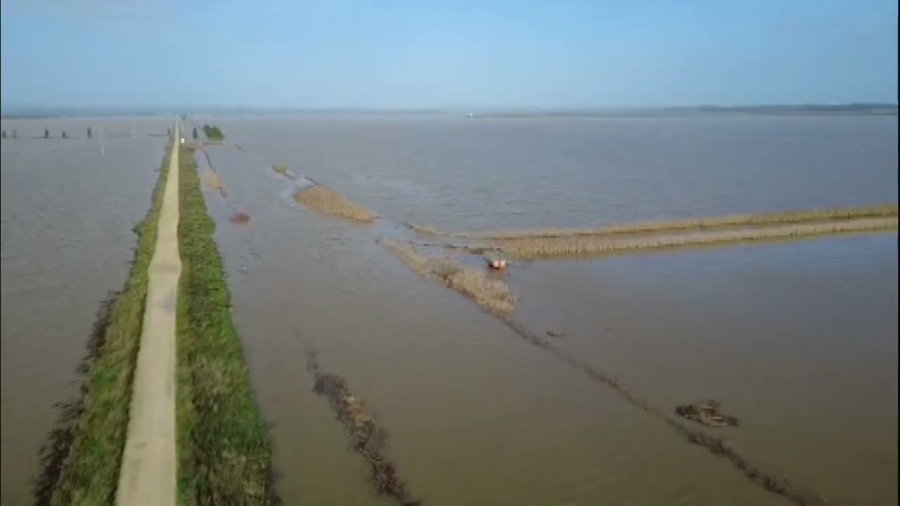 JANDA | COLECTIVOS ECOLOGISTAS RECLAMAN RECUPERACI&Oacute;N LAGUNA DE LA JANDA EN UNA MARCHA REIVINDICATIVA