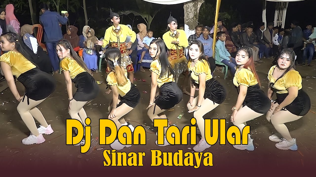 Kuda Kencak Sinar Budaya Terbaru 2025 Masuk Terop Tari Ular di Jatisari Treteb Kuripan Probolinggo