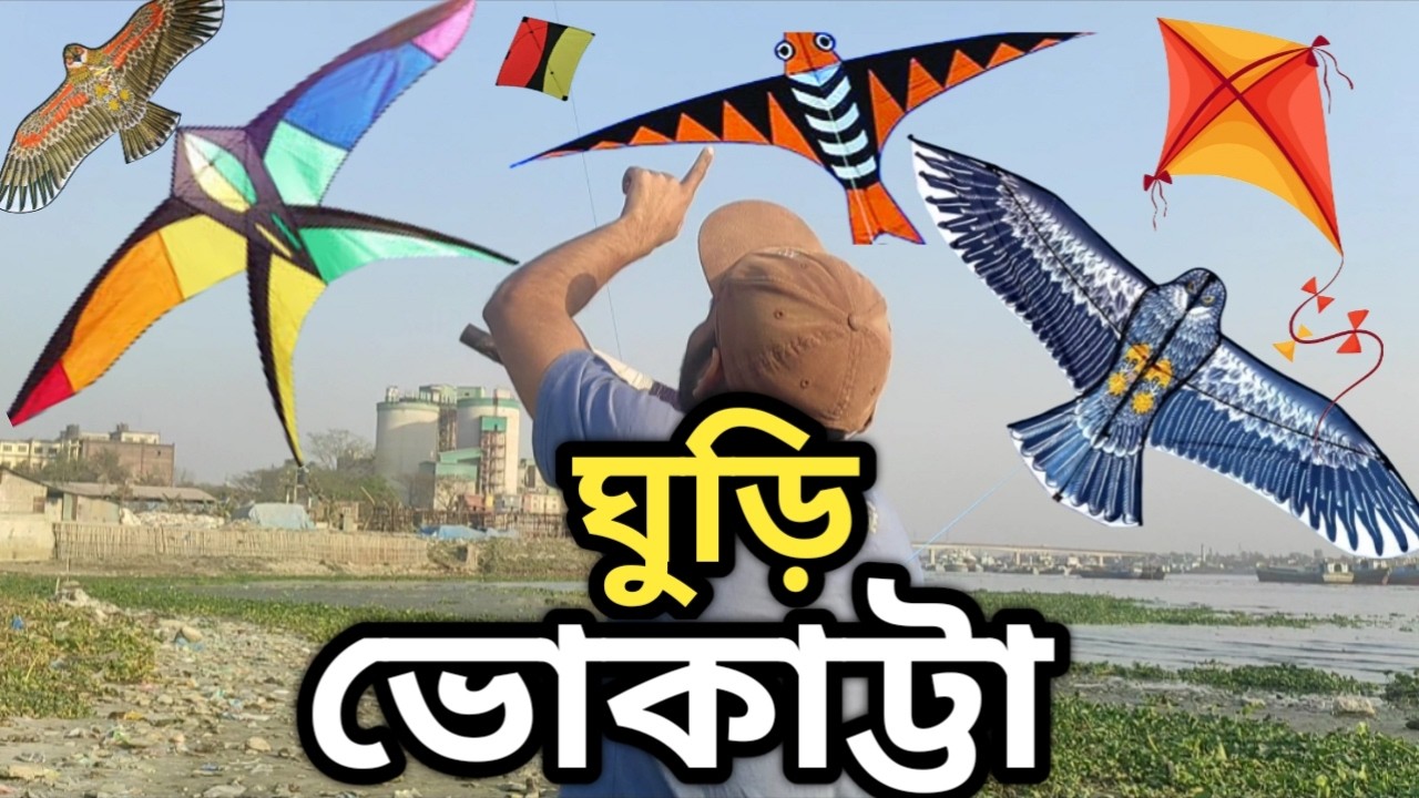 ঘুড়ি কাটা কাটি প্রতিযোগিতায় ঘুড়ি ভোকাট্টা | Kite Flying in Kata Kati Competition