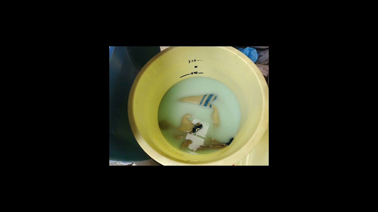 種籾の消毒 20240429 20リットルの水にスミチオン20ミリリットル、テクリードCフロアブル1本200ミリリットル入れた薬液に漬け込みます。