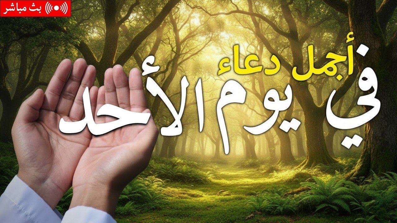 دعاء يوم الثلاثاء فرض الرزق وقضاء الدين وتفريج الهم وتيسير الأمور باذن الله