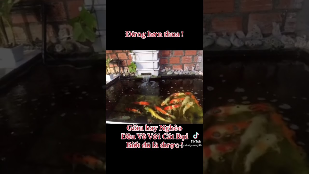 Gi&agrave;u Sang Hay Ngh&egrave;o Kh&oacute; | Duy Khải Gaming