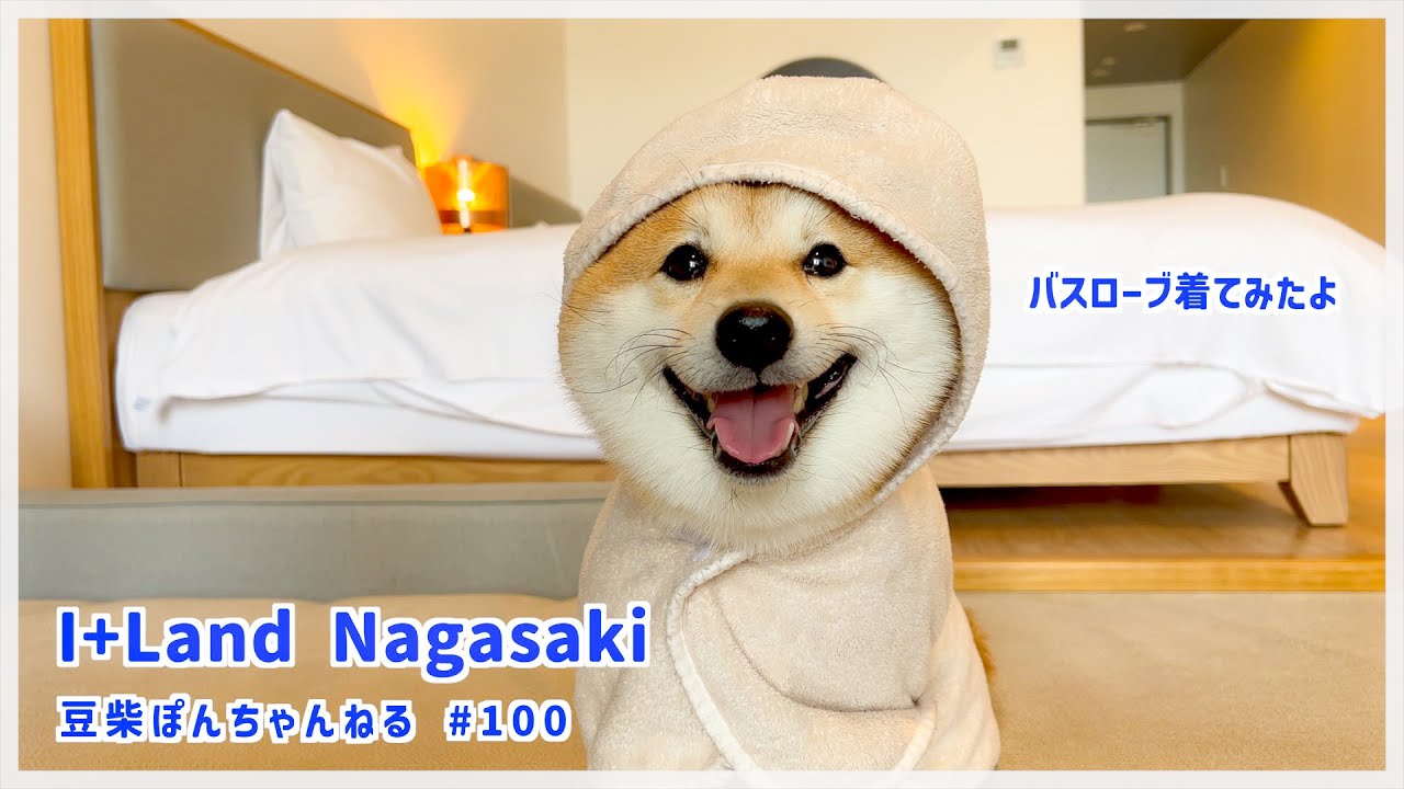 【長崎旅】アイランド長崎でバスローブを着たら…まる顔が際立ちました！【#100】