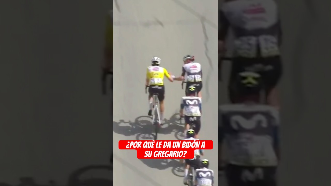 Por qu&eacute; Poga&ccedil;ar le da un bid&oacute;n a su gregario
