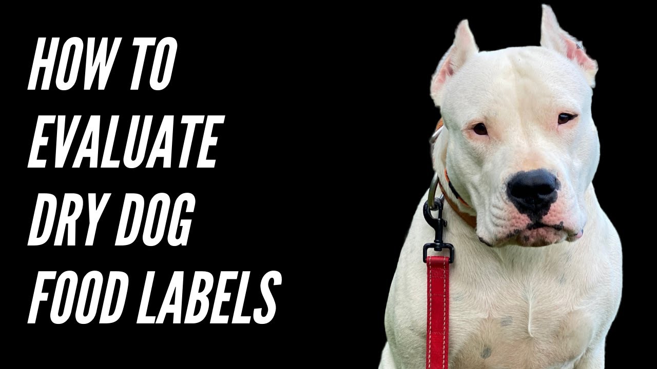 HOW TO EVALUATE DRY DOG FOOD FOR YOUR DOGO ARGENTINO DOGS