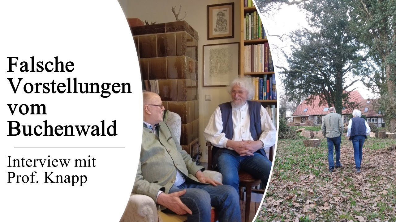Der artenarme Buchenhallenwald - eine forstliche Zwecklüge? - Interview mit Prof. Knapp