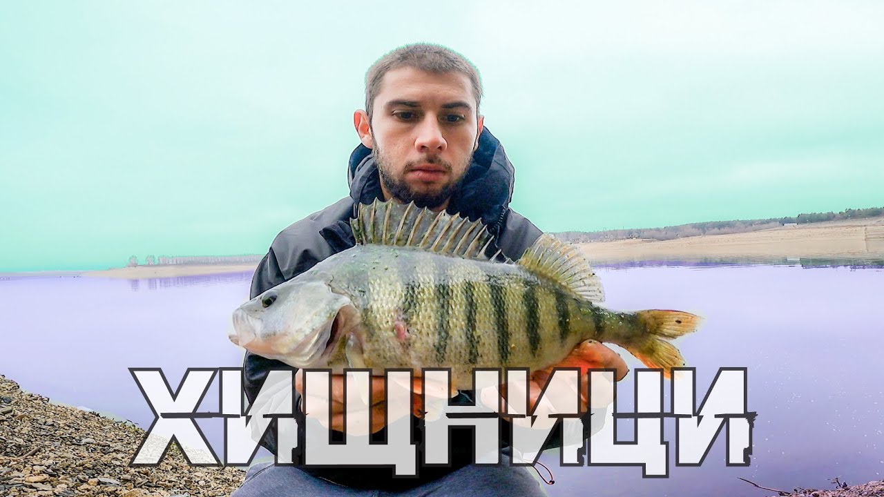 В ТЪРСЕНЕ на ХИЩНИЦИ от БРЕГА на ЯЗОВИР КОПРИНКА