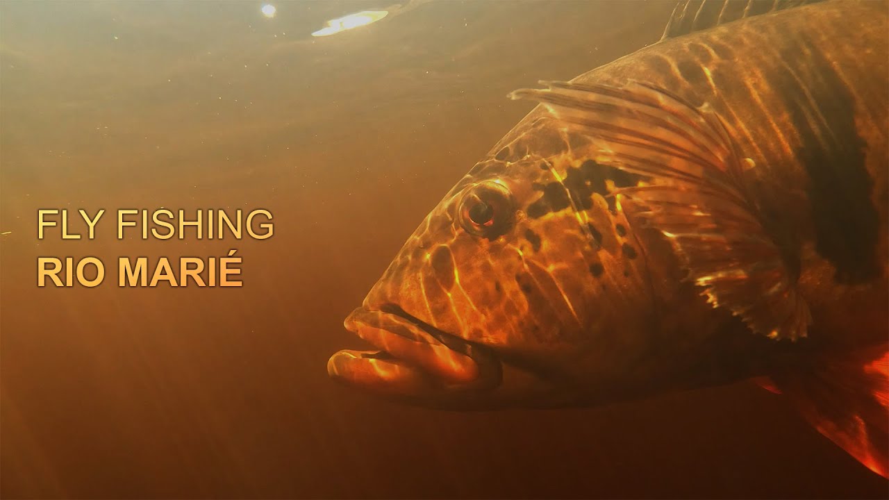 Fly Fishing Rio Marié - NOVE Outdoors