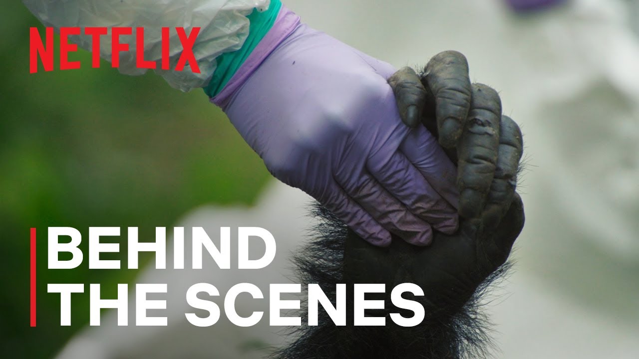 The Death of Pork Pie | Chimp Empire | Netflix