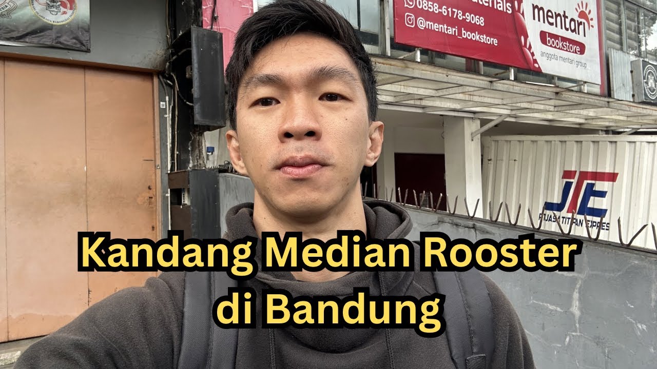Hoby ayam bikin kita tenang atau tegang? 🤨