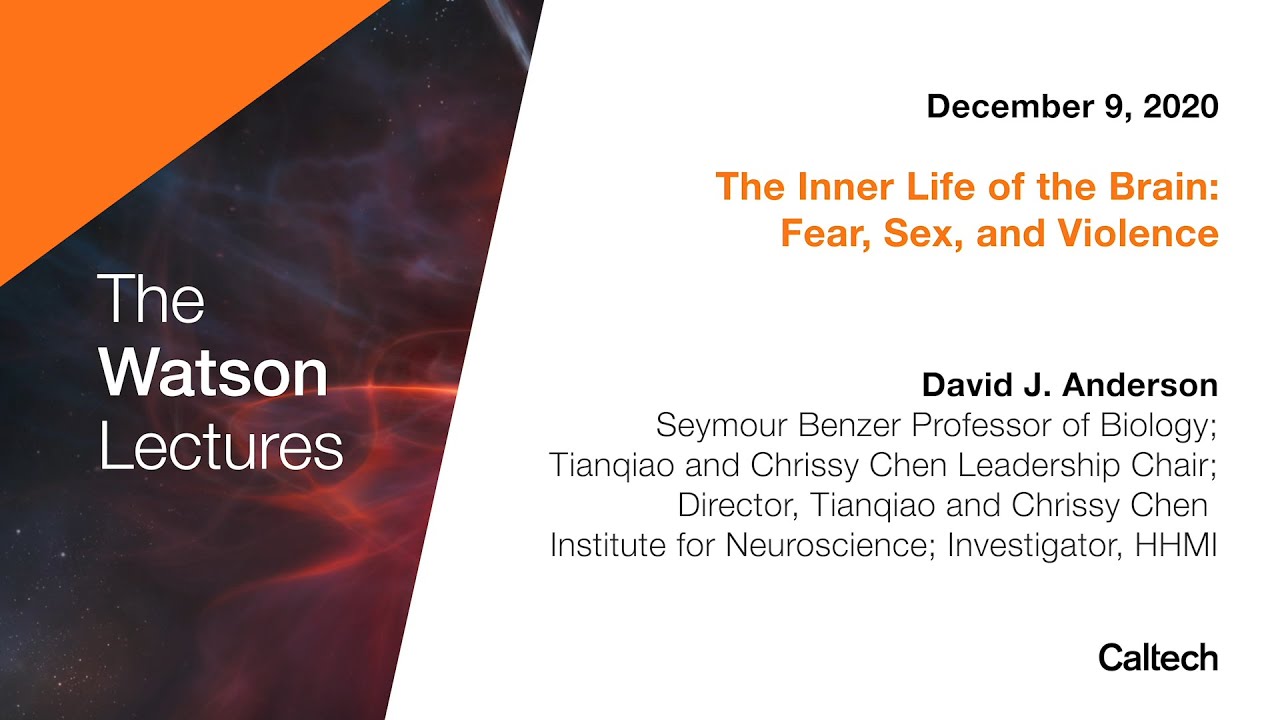 The Inner Life of the Brain: Fear, Sex, and Violence - D. Anderson - 12/9/2020