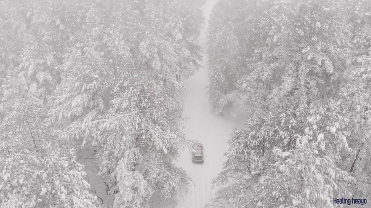 [힐링해요 Healing music and sounds] 눈덮인 숲, 겨울풍경, 눈, snowy path in the forest, snow-covered, Snowy forest