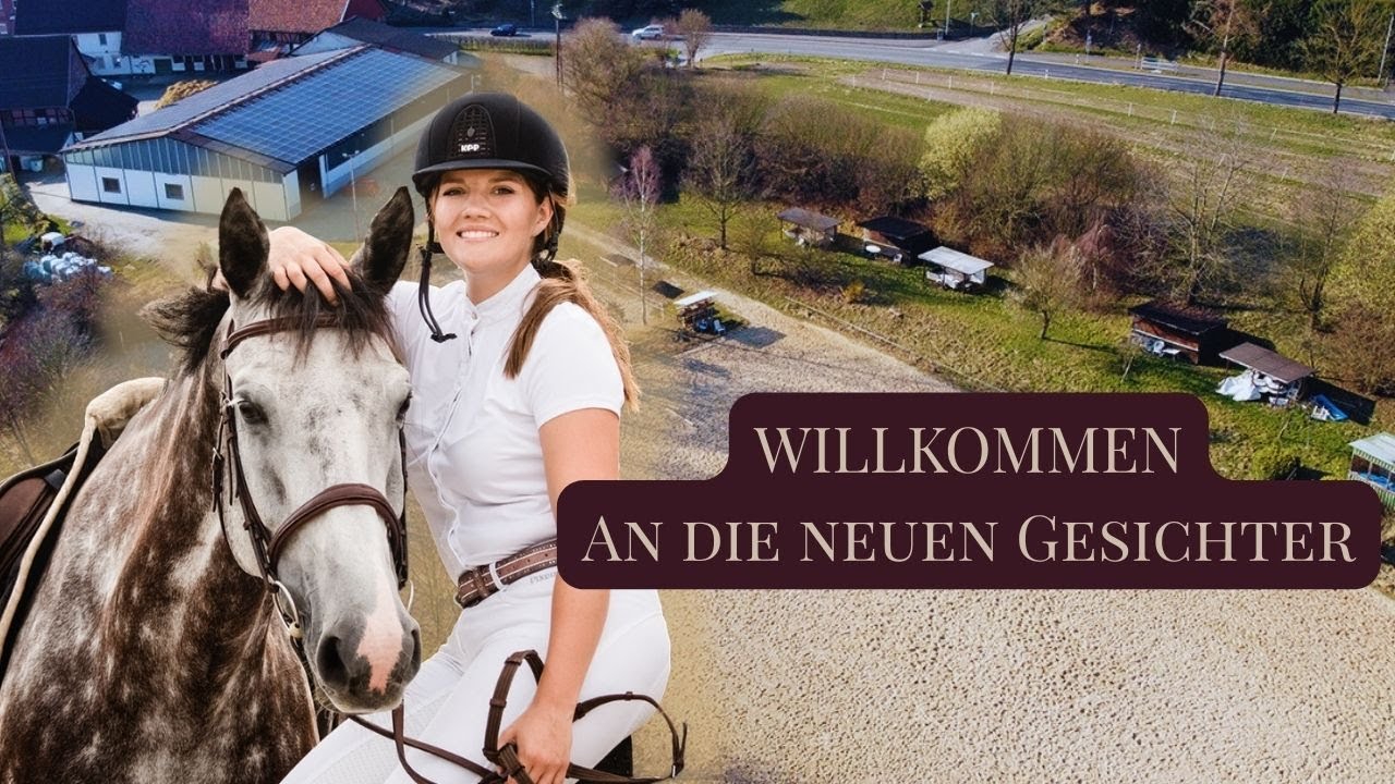 WILLKOMMEN 🫶🏼⎪Schnelldurchlauf durch Stall und Pferdeleben