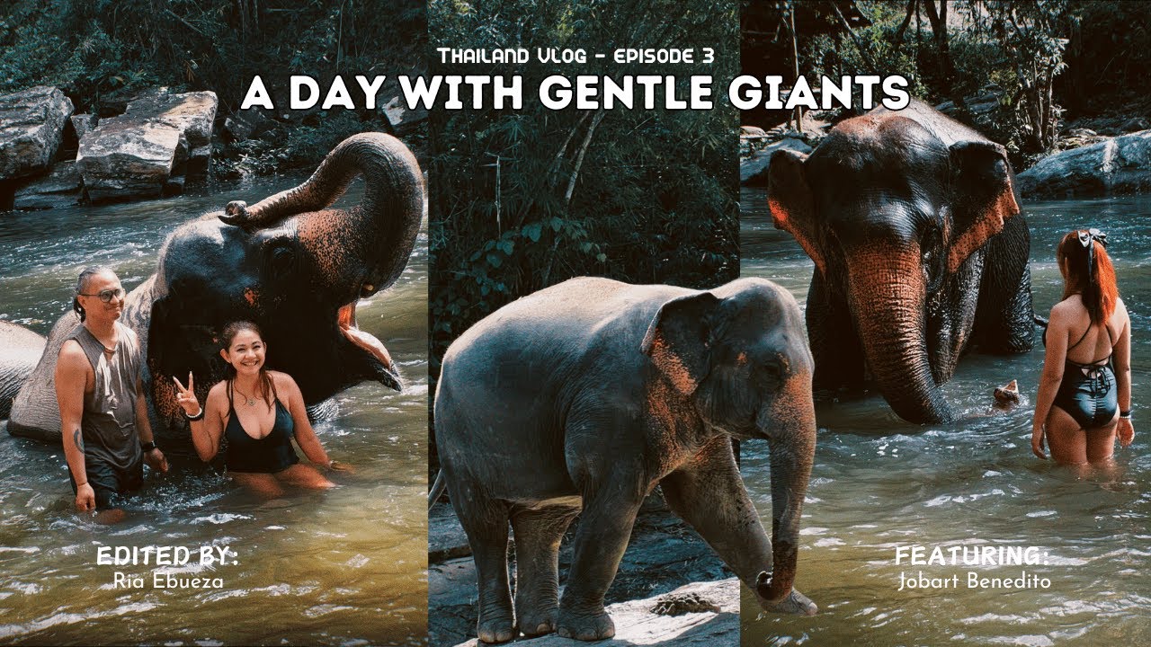 Magical Day at Chiang Mai's Elephant Sanctuary: Chai Lai Orchid | Thailand Adventure 2023 🐘✨