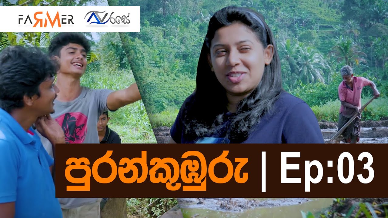 Puran Kumburu Vlog 03 | කලවාන පුරන්කුඹුරේ වී වැපිරීම