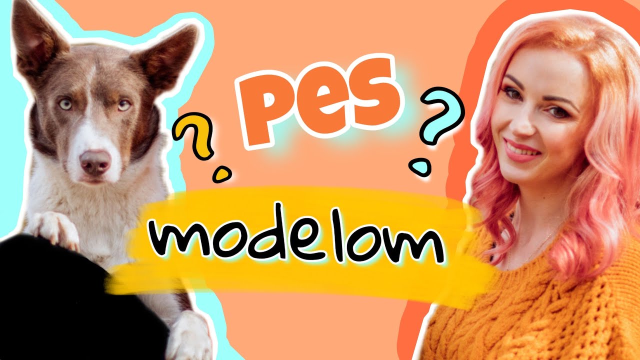 Ako sa stať PSÍM MODELOM | vlog