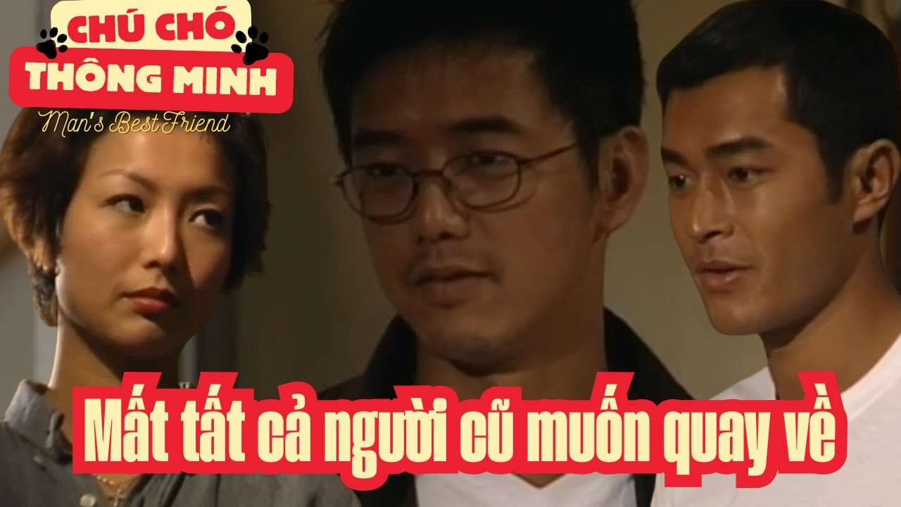 Chú Chó Thông Minh cắt tập 4_Mất tất cả người cũ muốn quay về