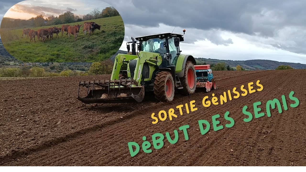 Entre génisses en folie et semi d'hiver, la saison démarre fort💪💪