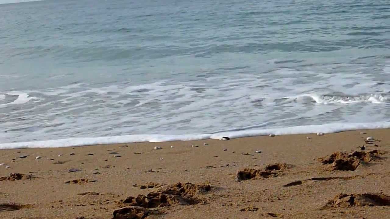 Thurlestone Beach, S Devon