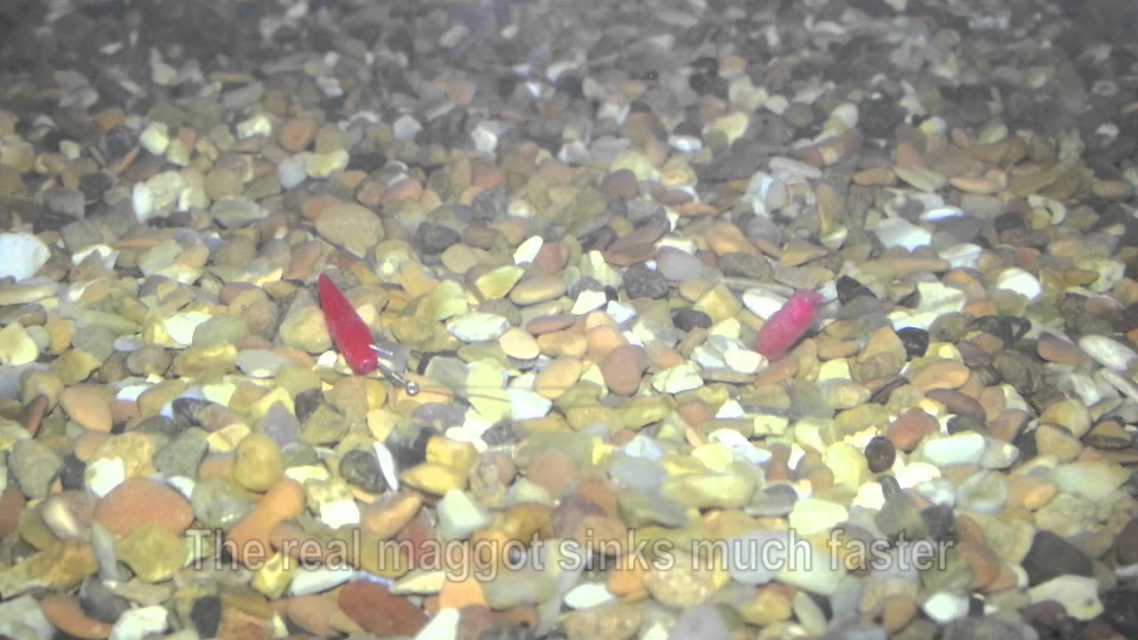 Fake fishing bait - Drennan Fake Maggots vs Real underwater test