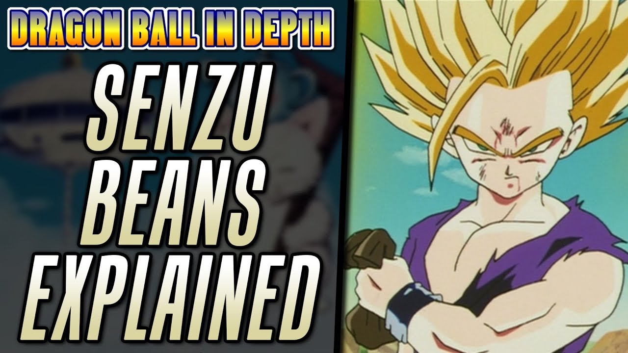 Senzu Beans Explained - Dragon Ball In Depth