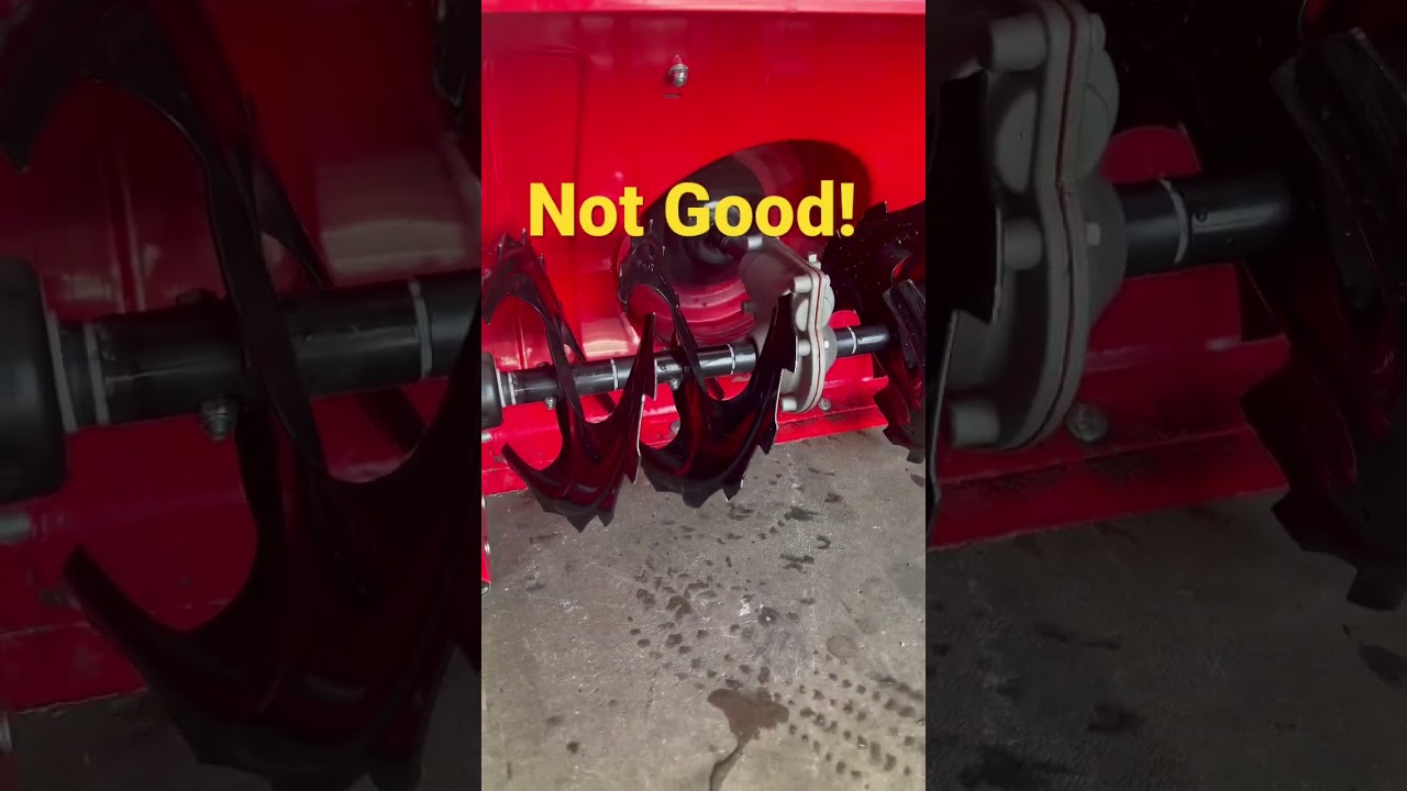 Bad Worm Gear