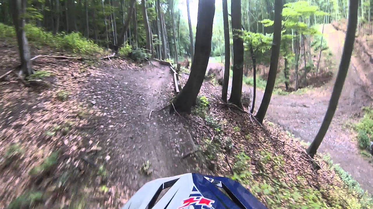 Rosstrappen downhill Thale(harz) 24.7.2014