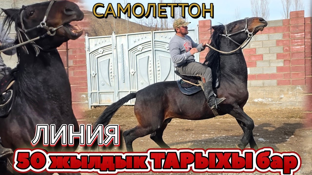 50 жылдык ТАРЫХЫ БАР 🇰🇬ЛИНИЯ САМОЛЕТ 👍ӨЗҮНӨ ИШЕНГЕНДЕР ЧАЛСЫН