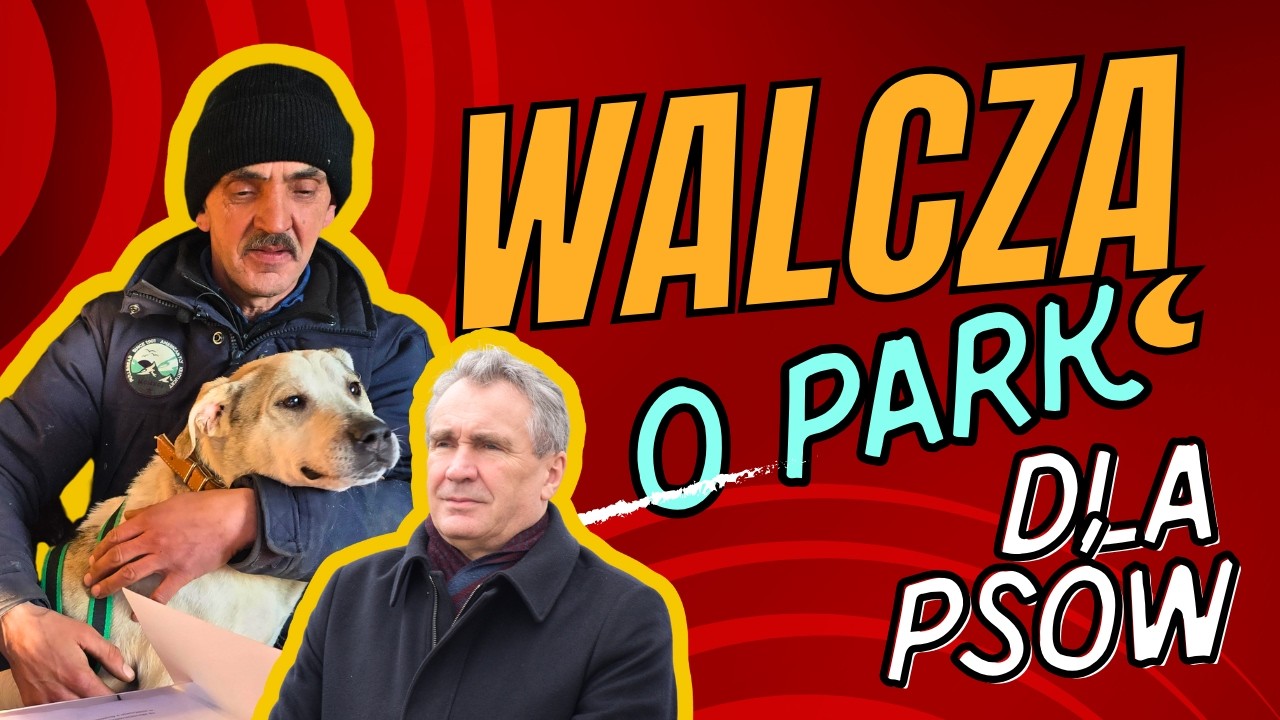 WALCZĄ o ​psi park w Bytowie. Konstanty Golba zbiera podpisy