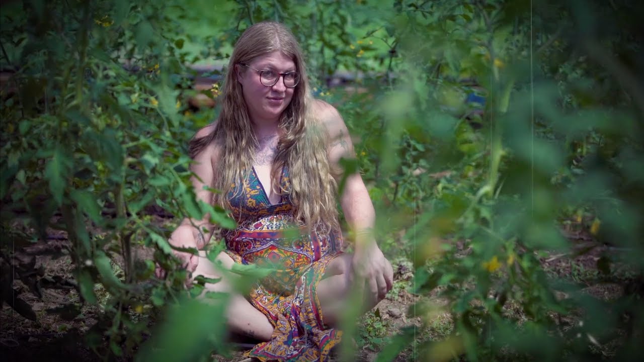 Rock Bottom String Band - Tend (Official Music Video)