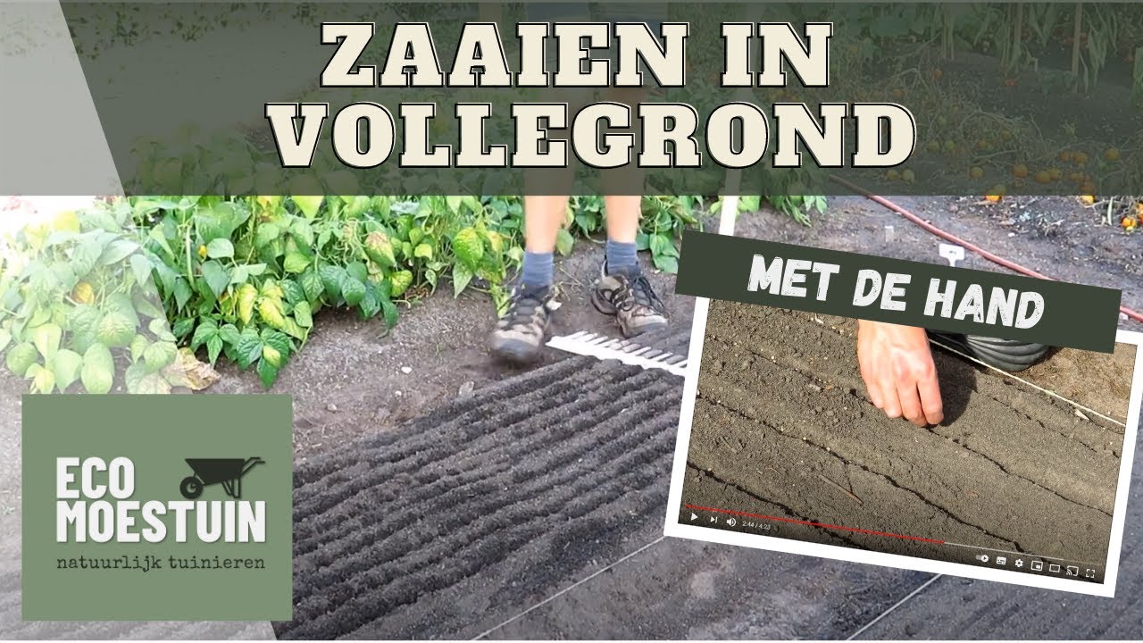 Zaaien in de ecologische moestuin