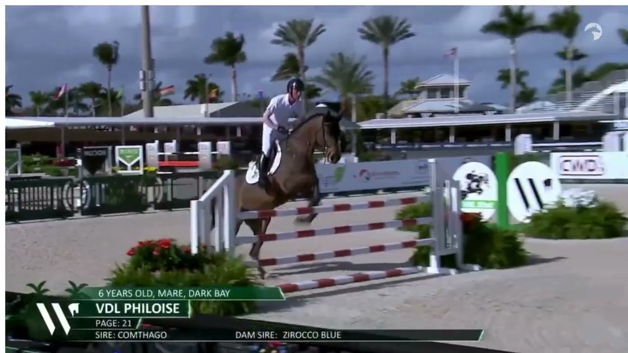 VDL Philoise Presentation - WEF Sport Horse Auction 2026