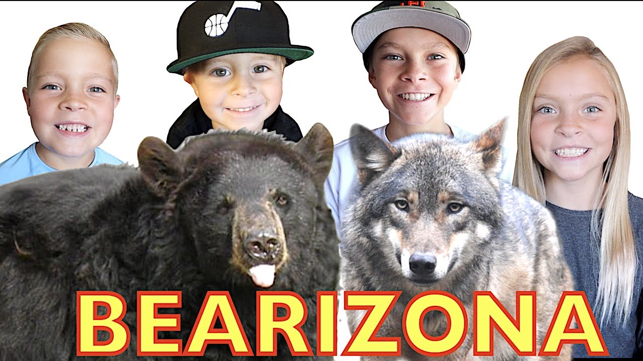 🐻BEARS and WOLVES 🐺