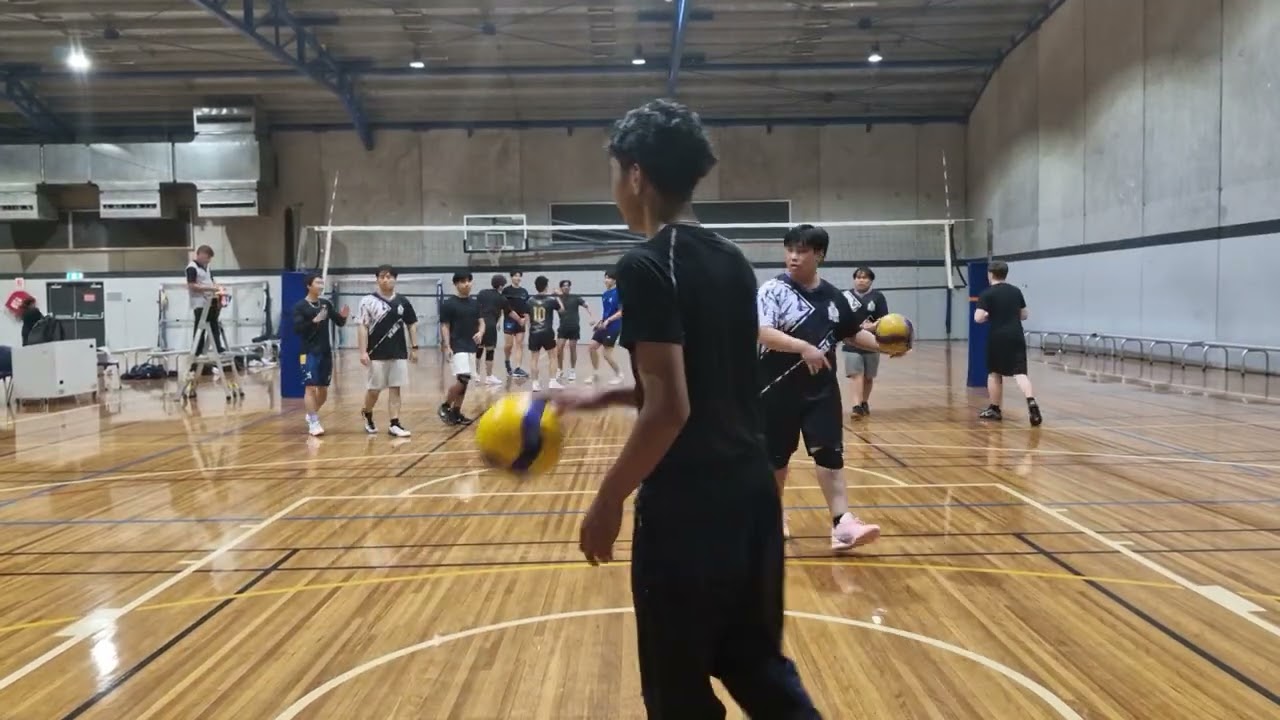 Queen Bees Vs Alpha Blockers