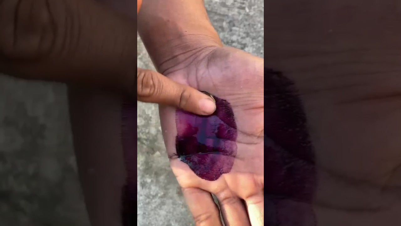 Holi colour capsule || how to use capsule colour || holi colour  