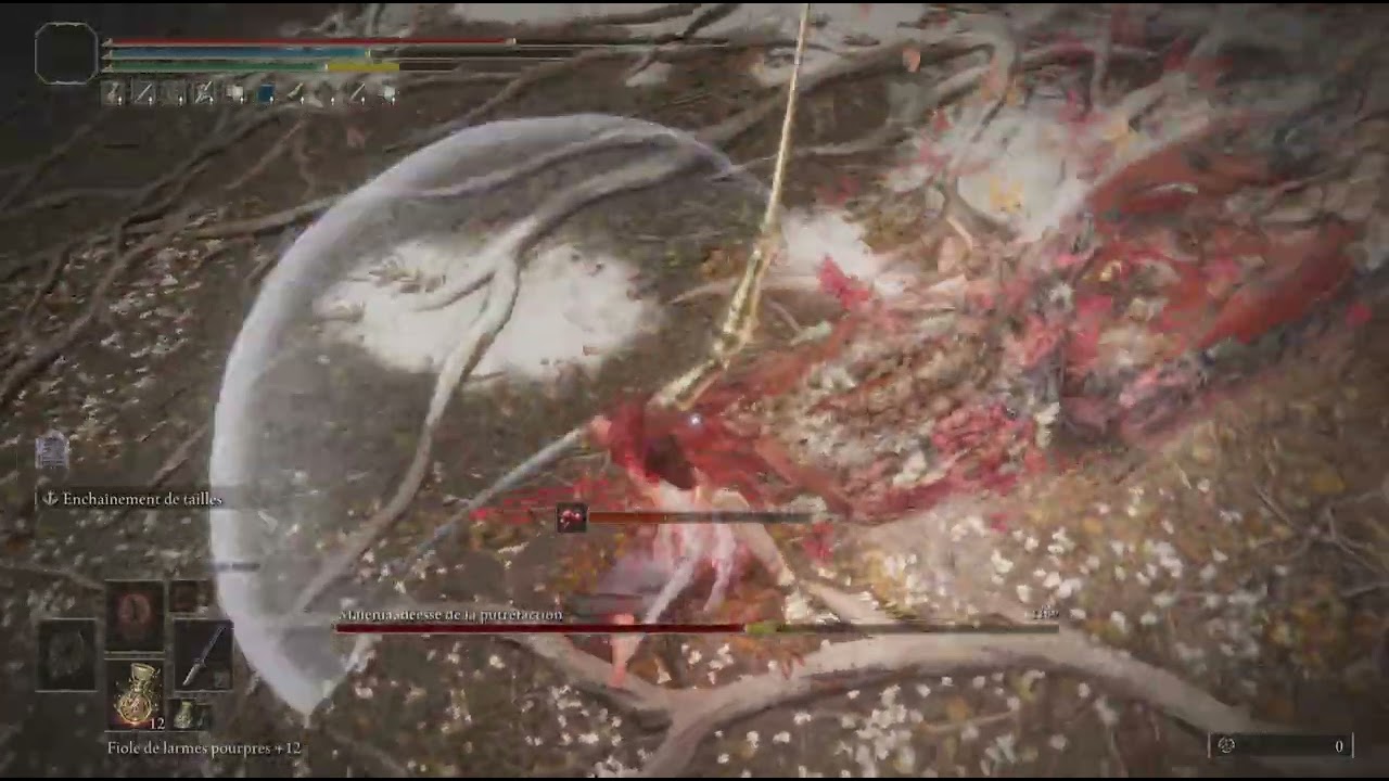 ELDEN RING Malenia Ng+10